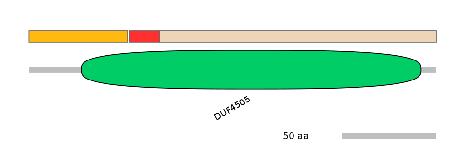 MmuEX0008450-INC