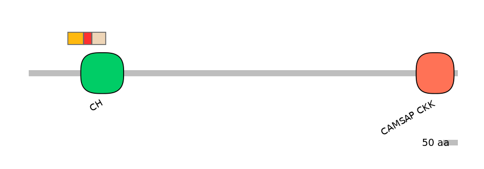 MmuEX0009011-INC
