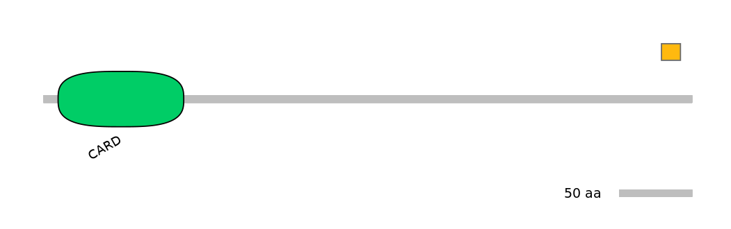 MmuEX0009161-EXC