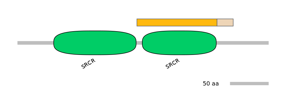 MmuEX0010249-EXC