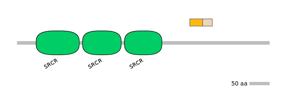 MmuEX0010251-EXC