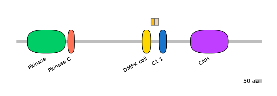 MmuEX0010397-EXC