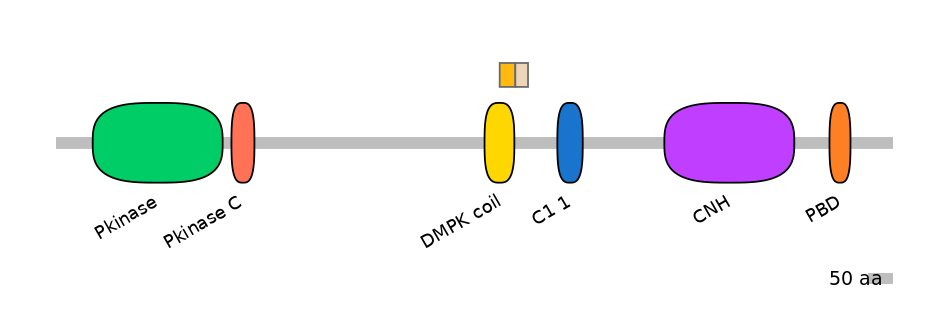 MmuEX0010402-EXC