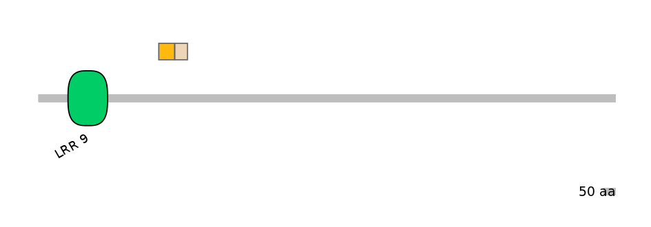 MmuEX0010869-EXC