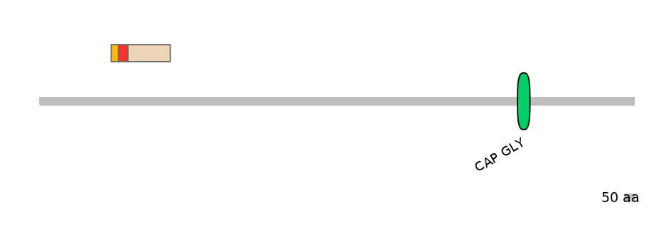 MmuEX0010974-INC