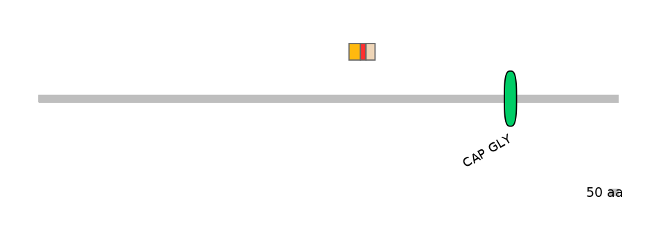 MmuEX0010976-INC