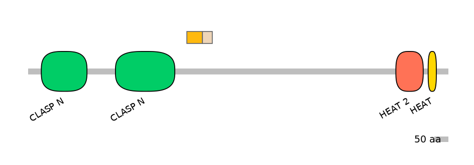MmuEX0011499-EXC