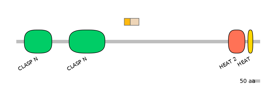 MmuEX0011506-EXC