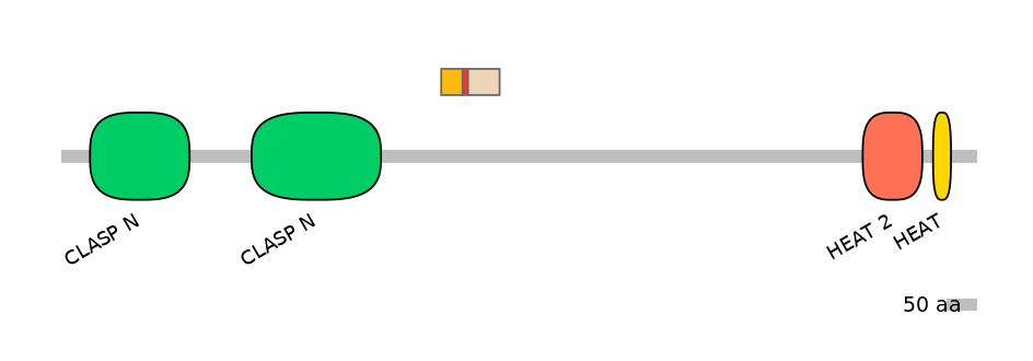 MmuEX0011506-INC