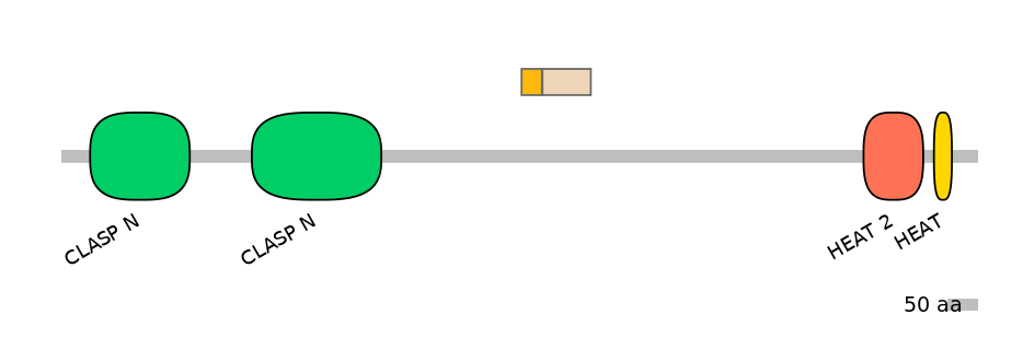 MmuEX0011507-EXC