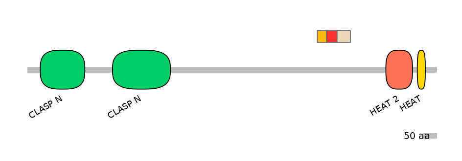 MmuEX0011509-INC