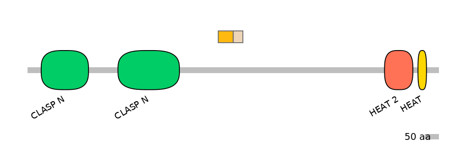 MmuEX0011511-EXC