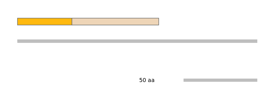 MmuEX0011648-EXC