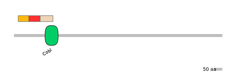 MmuEX0012050-INC