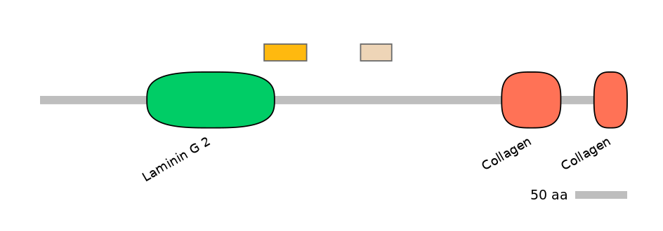 MmuEX0012120-EXC