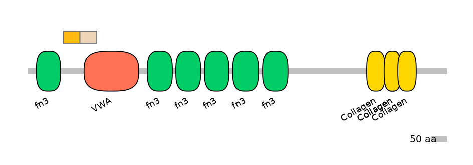 MmuEX0012209-EXC