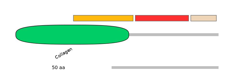 MmuEX0012232-INC