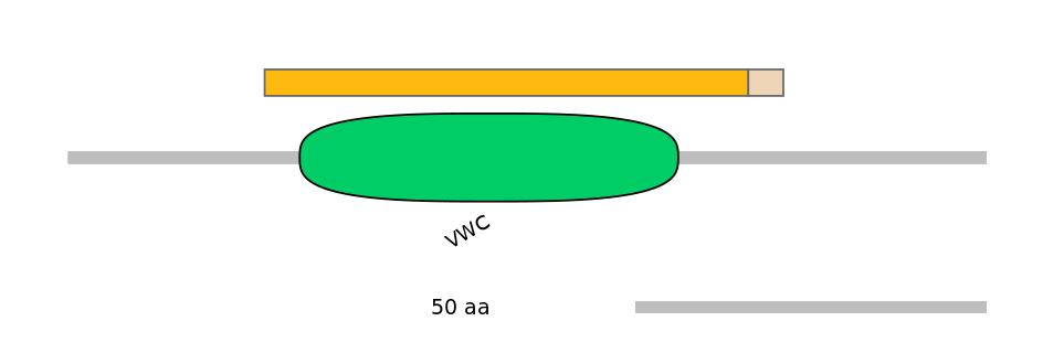 MmuEX0012268-EXC