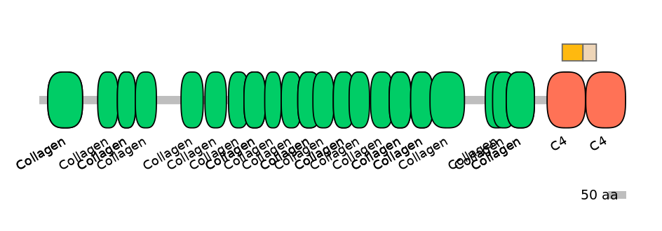 MmuEX0012279-EXC