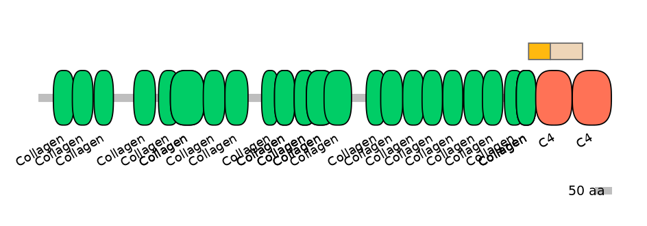 MmuEX0012305-EXC