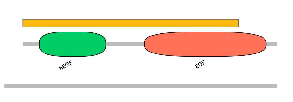 MmuEX0012662-EXC