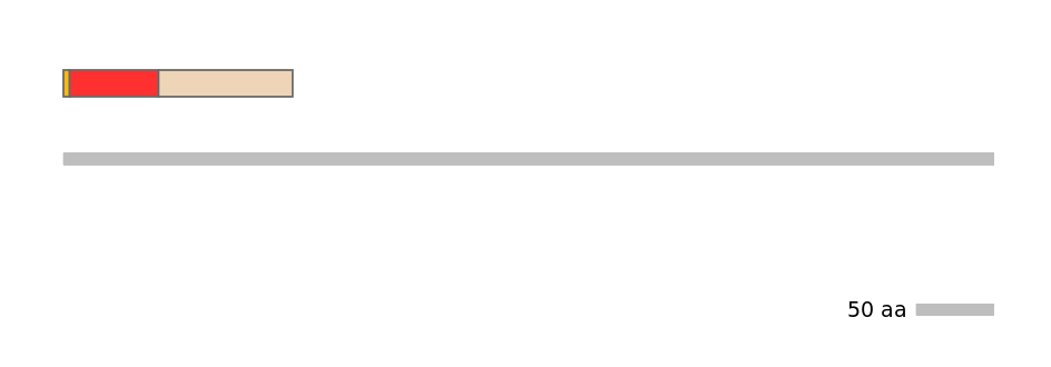 MmuEX0012975-INC