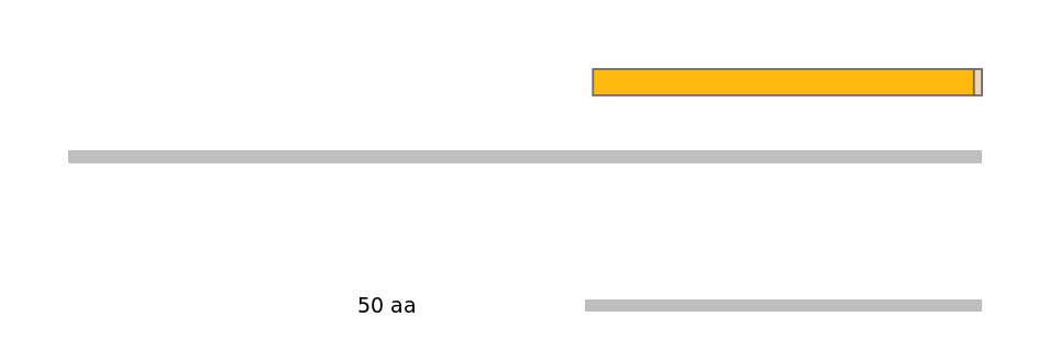 MmuEX0013392-EXC