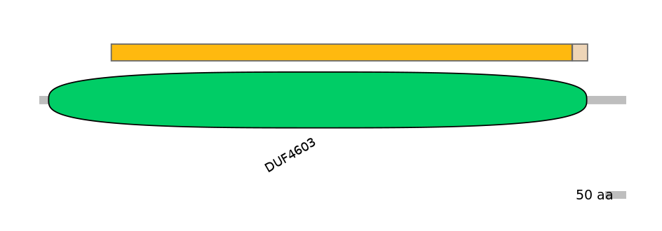 MmuEX0013590-EXC
