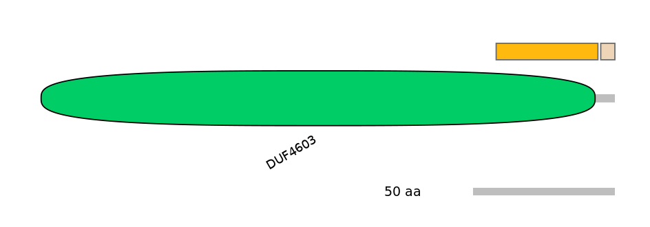 MmuEX0013591-EXC