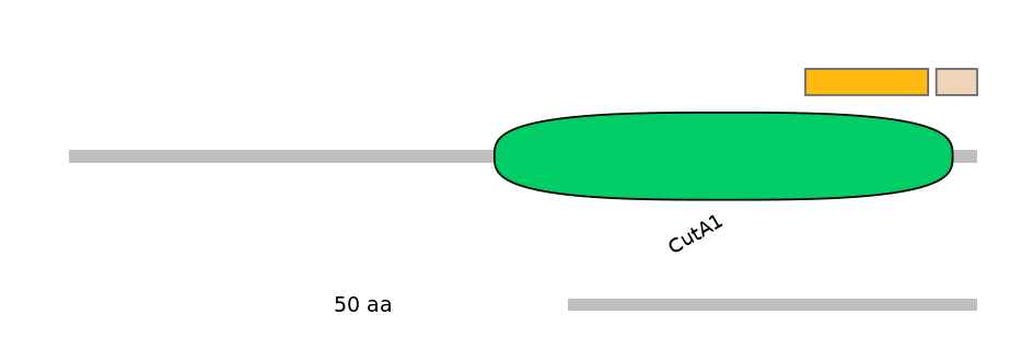 MmuEX0013637-EXC