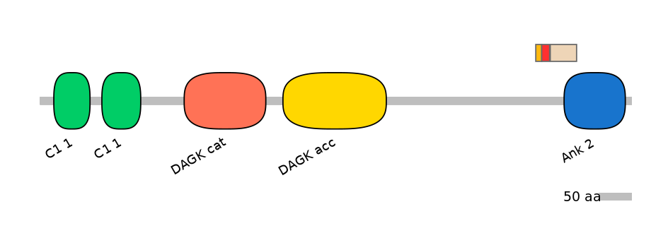 MmuEX0014429-INC