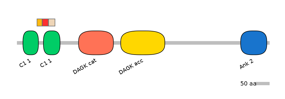MmuEX0014431-INC
