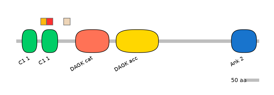 MmuEX0014432-INC