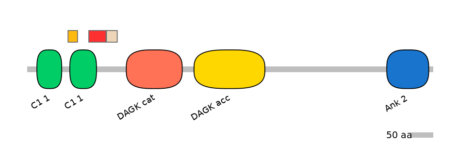 MmuEX0014433-INC