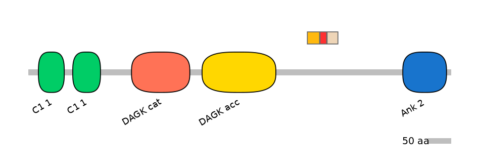MmuEX0014438-INC