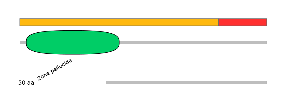 MmuEX0014850-INC