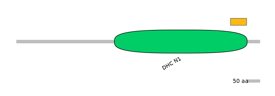 MmuEX0015089-EXC