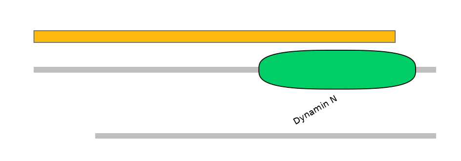 MmuEX0015278-EXC