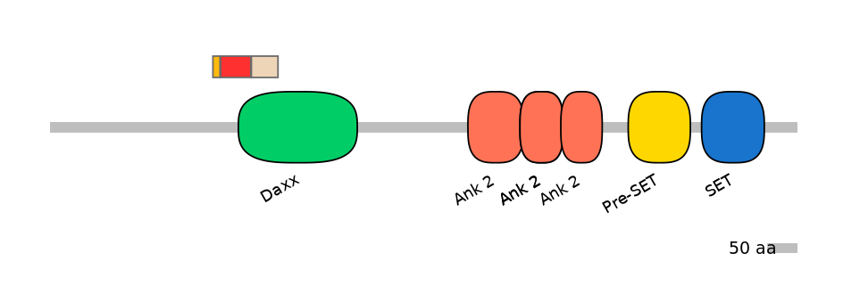 MmuEX0016482-INC