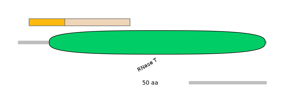 MmuEX0017307-EXC