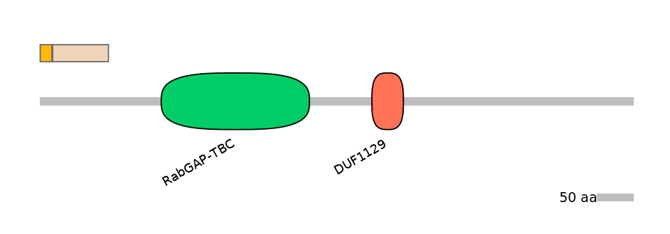 MmuEX0017494-EXC