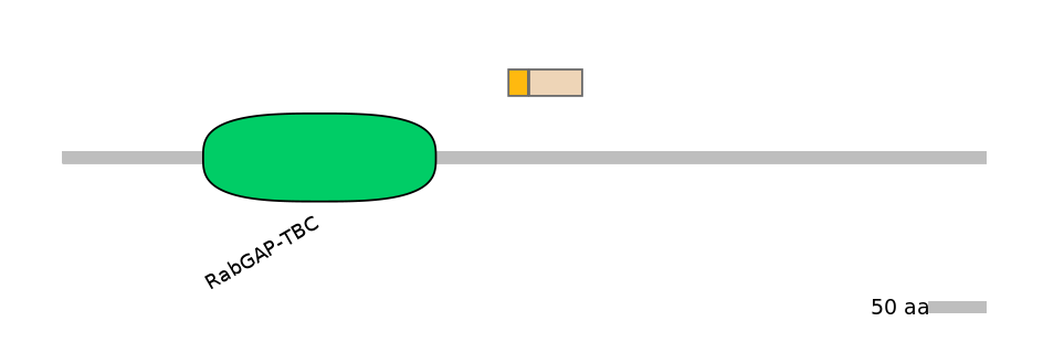 MmuEX0017502-EXC