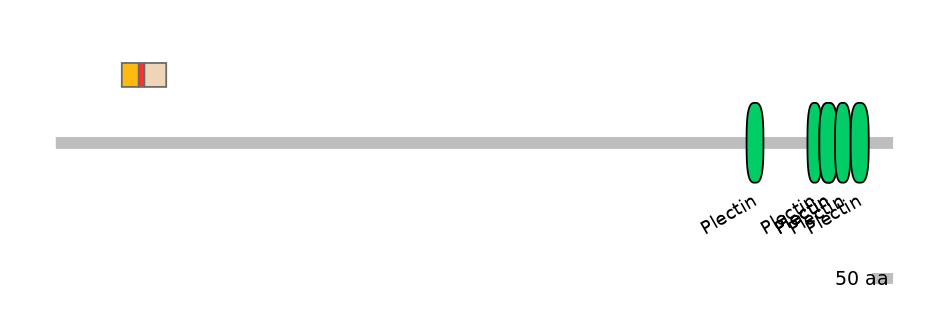 MmuEX0017511-INC