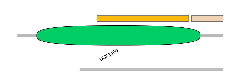 MmuEX0017902-EXC
