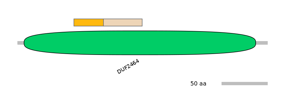 MmuEX0017903-EXC