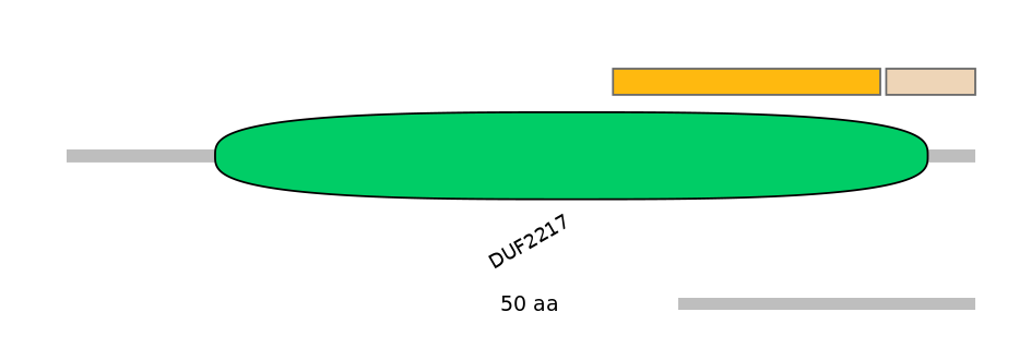 MmuEX0018453-EXC