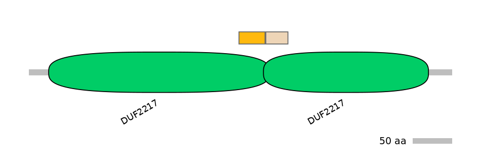 MmuEX0018455-EXC