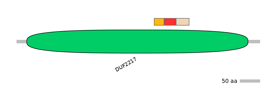 MmuEX0018456-INC