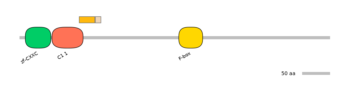 MmuEX0018784-EXC