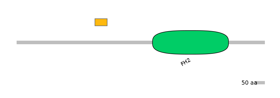 MmuEX0019231-EXC